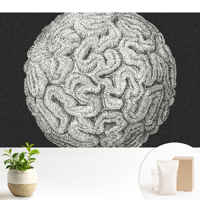 Tapeta Monochromatická sférická harmonická štruktúra