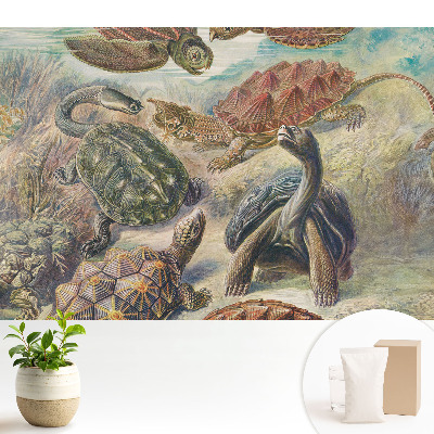 Luxusná tapeta Rôzne korytnačky vo vodnej scenérii