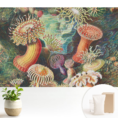 Tapeta Podvodné tvary a jasné farby