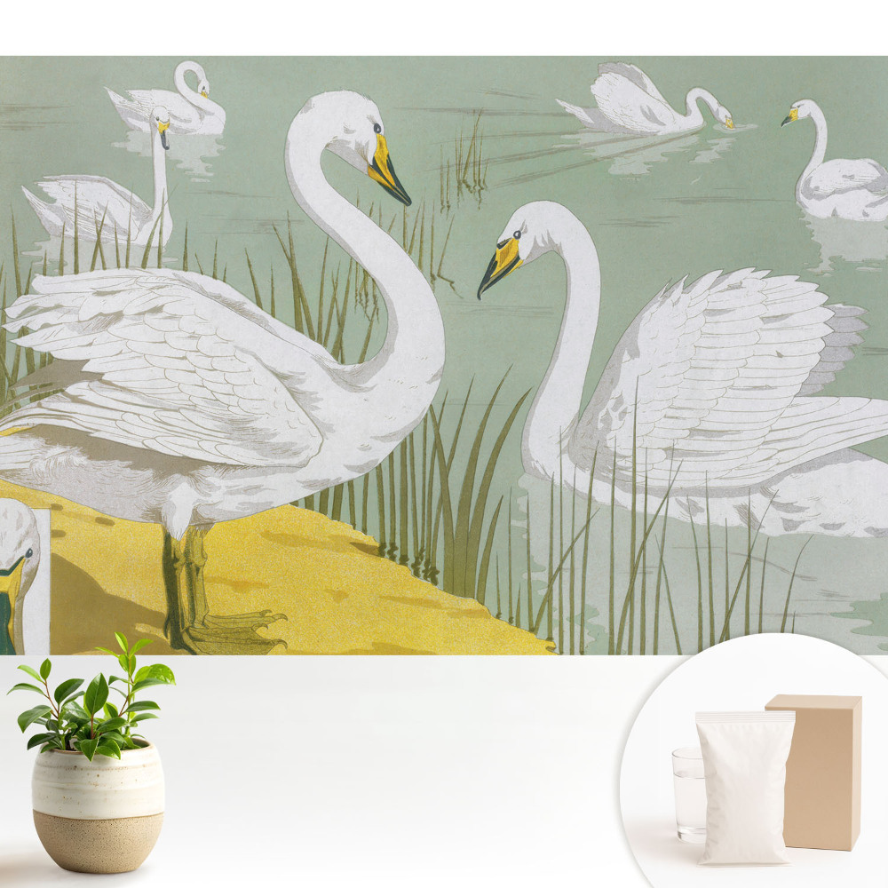 Tapeta do obývačky Labute na jazere Romantická elegancia