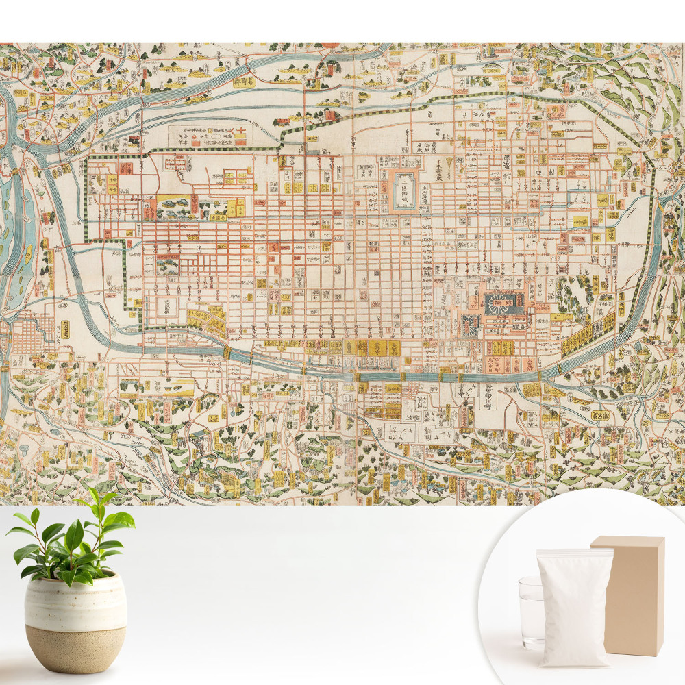 Tapeta Historická mapa mesta s podrobnosťami o uliciach