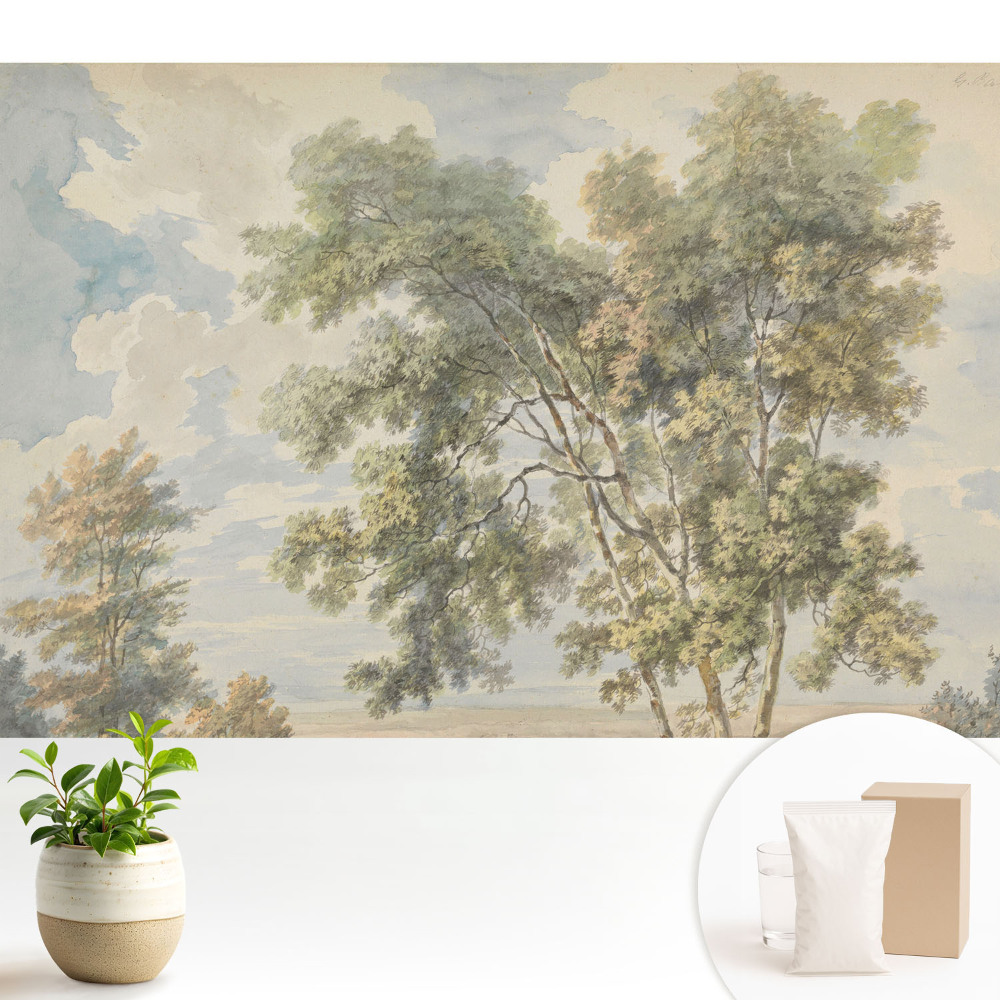 Tapeta Upokojujúca krajina stromov a oblohy