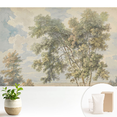 Tapeta Upokojujúca krajina stromov a oblohy