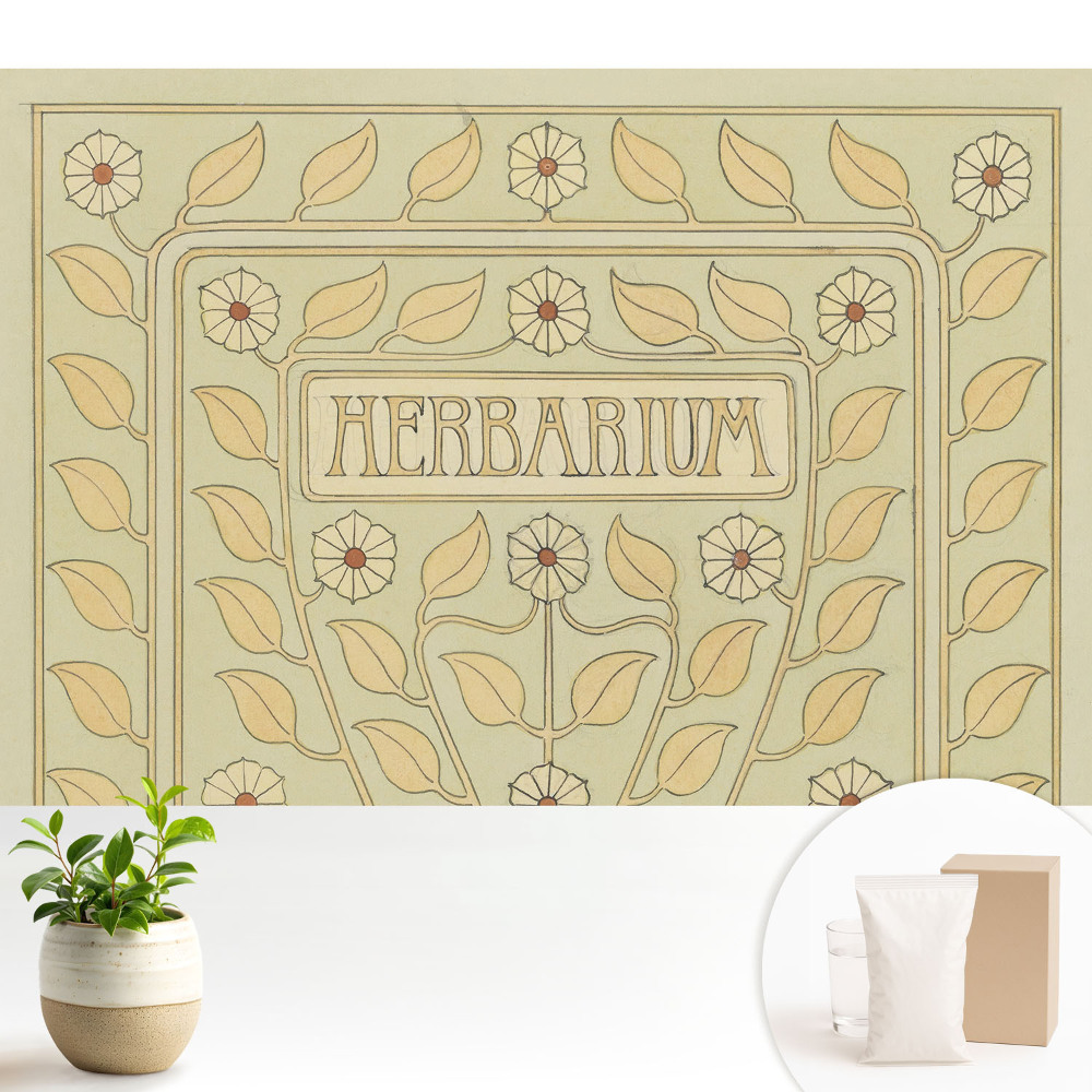 Luxusná tapeta Secesné rastlinné motívy s nápisom Herbarium