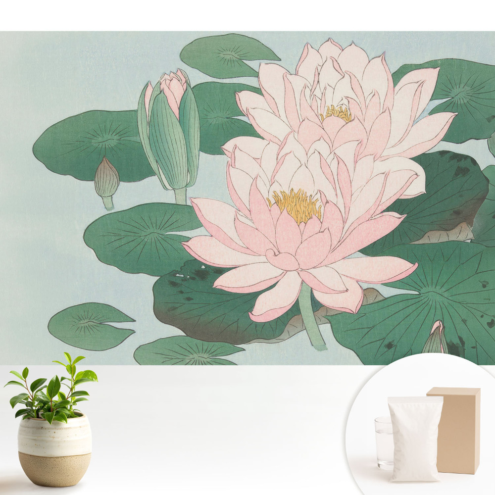 Tapeta na stenu Lotosové kvety na zelených listoch