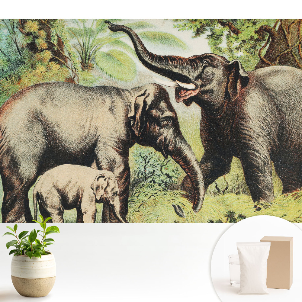 Luxusná tapeta Rodina slonov na pozadí džungle