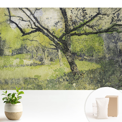 Tapeta na stenu Zelený priestor v parku strom