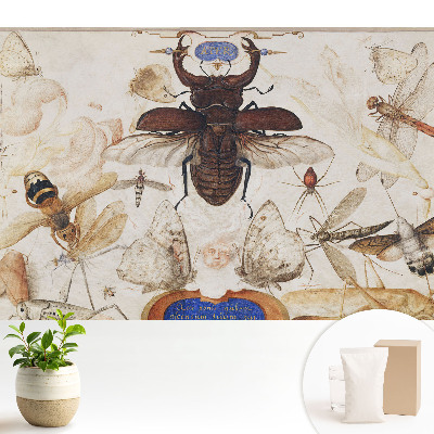 Luxusná tapeta Hmyz motýle pavúk klasická symetria
