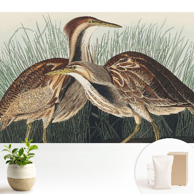 Tapeta do obývačky s motívom vtákov v tráve v klasickom realistickom štýle so symetrickým vzorom