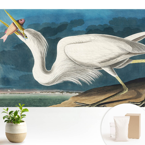 Luxusná tapeta Vtáčia elegancia a príroda