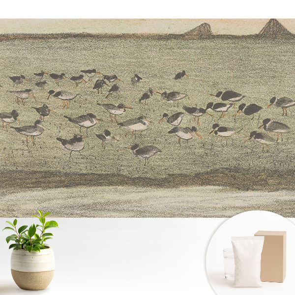 Luxusná tapeta Vtáky na lúke v harmonickom zložení