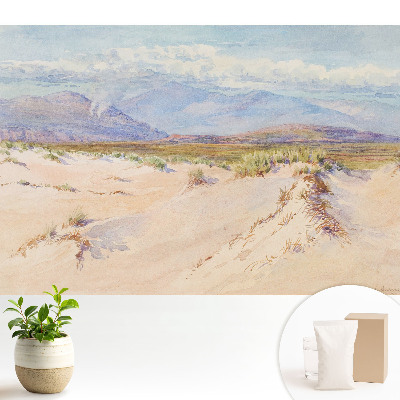 Luxusná tapeta Púštna krajina so vzdialenými horami