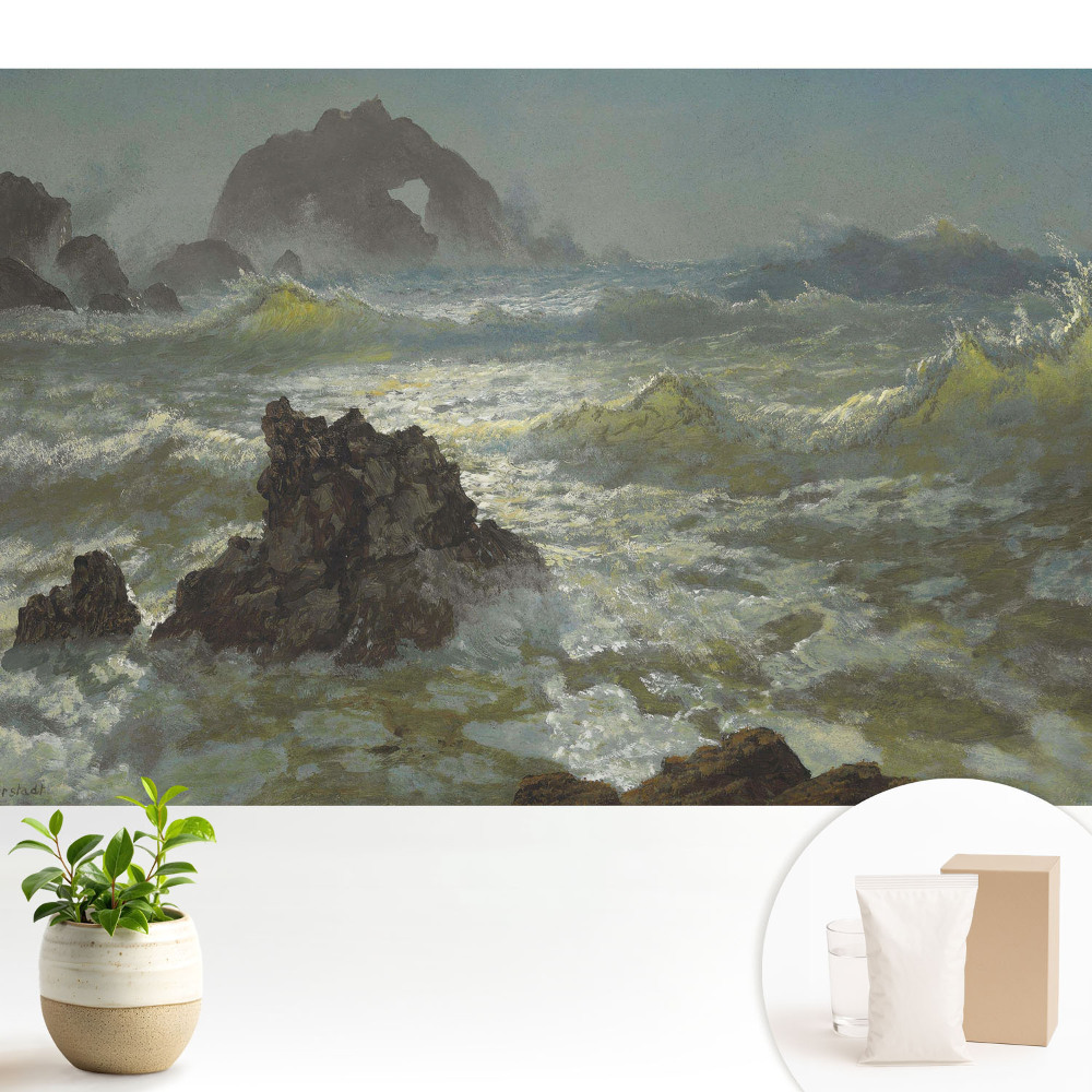 Tapeta Morské vlny a skaly