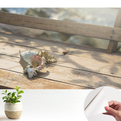 Tapeta Škrupina na drevenej lavičke