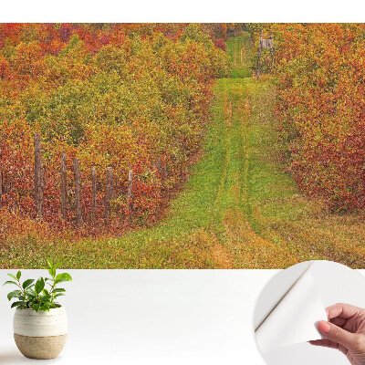 Tapeta na stenu samolepiaca s motívom jesennej cesty medzi farebnými stromami