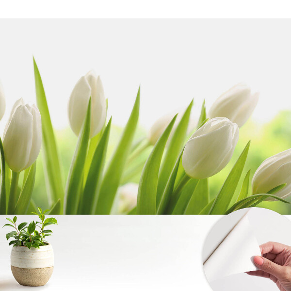 Tapeta do obývačky s jemným motívom bielych tulipánov v modernom elegantnom štýle