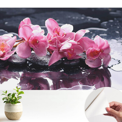 Tapeta Ružové orchidey na kameňoch