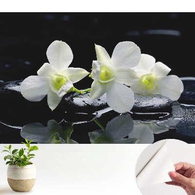 Tapeta do obývačky Biele orchidey na kameňoch.
