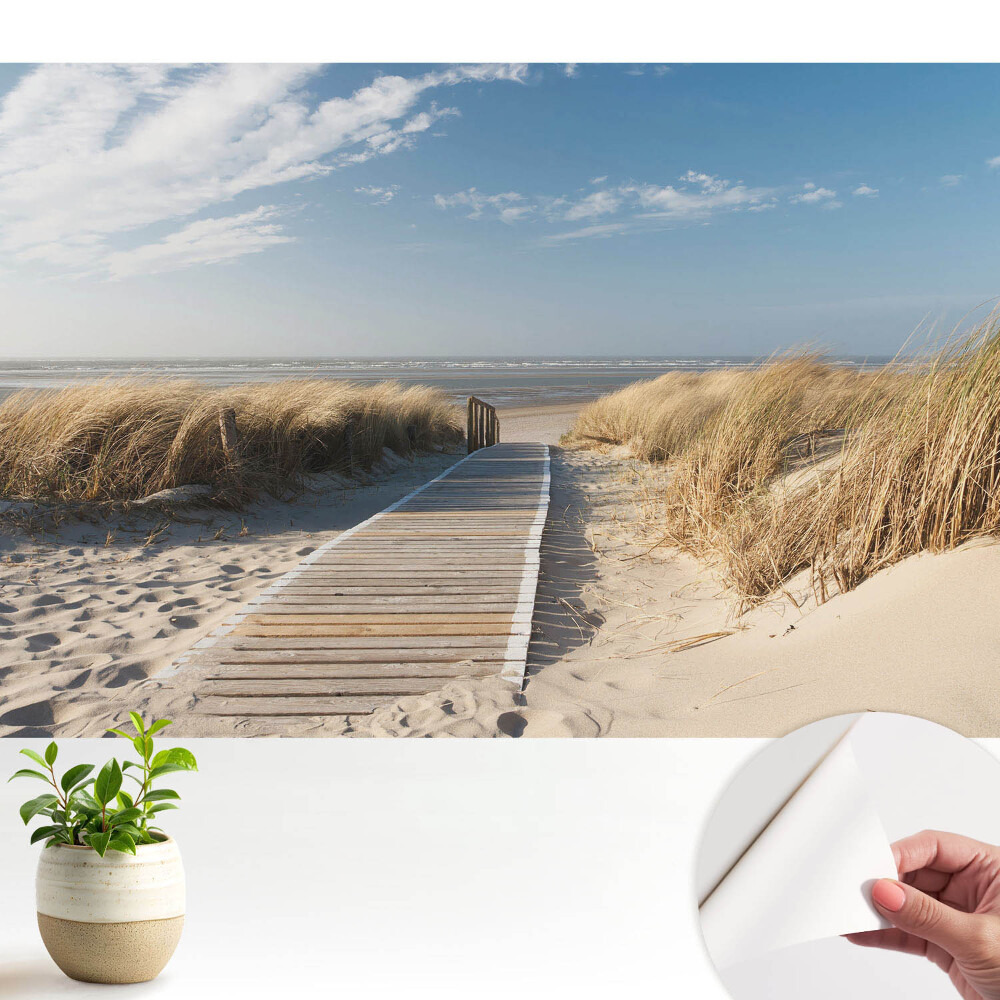 Tapeta do obývačky Prímorský chodník medzi dunami