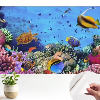Tapeta do obývačky s motívom podvodného sveta plného farieb