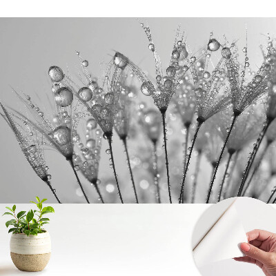 Tapeta do obývačky Kvapky na semienkach púpavy