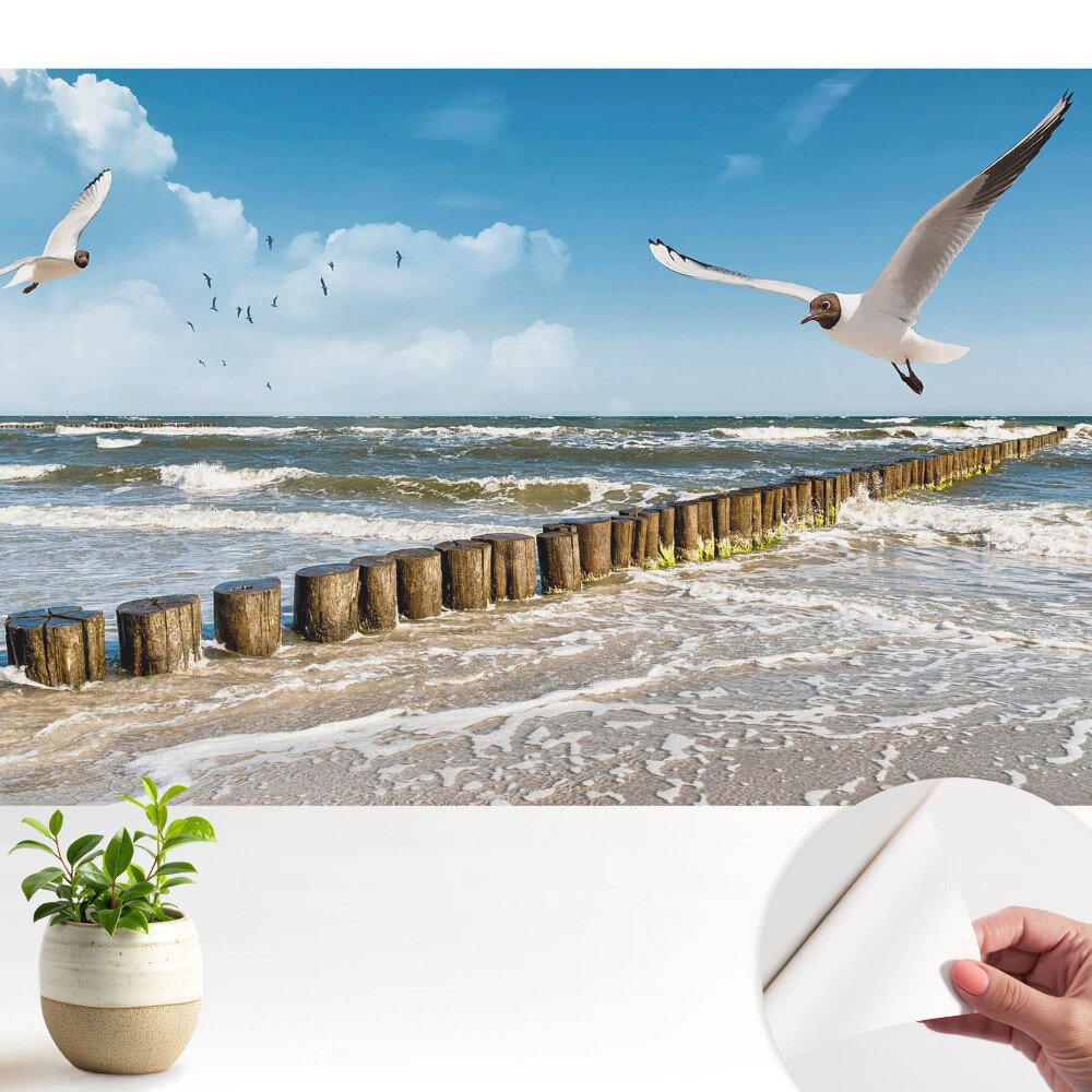 Tapety na stenu samolepiace Čajky nad morom