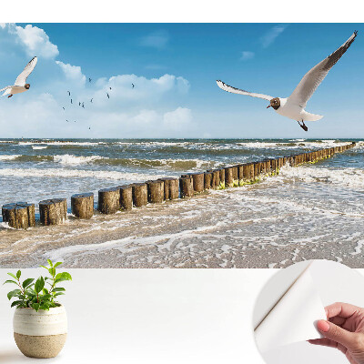 Tapety na stenu samolepiace Čajky nad morom