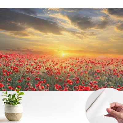 Luxusná tapeta s motívom ranného poľa makov so západom slnka