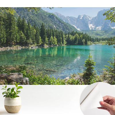 Tapety na stenu samolepiace s motívom prírodnej krásy a harmónie