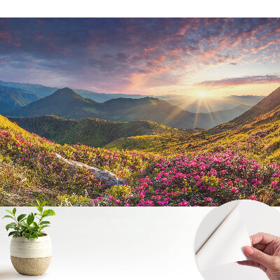 Tapeta do obývačky s motívom slnkom zaliatej horskej krajiny