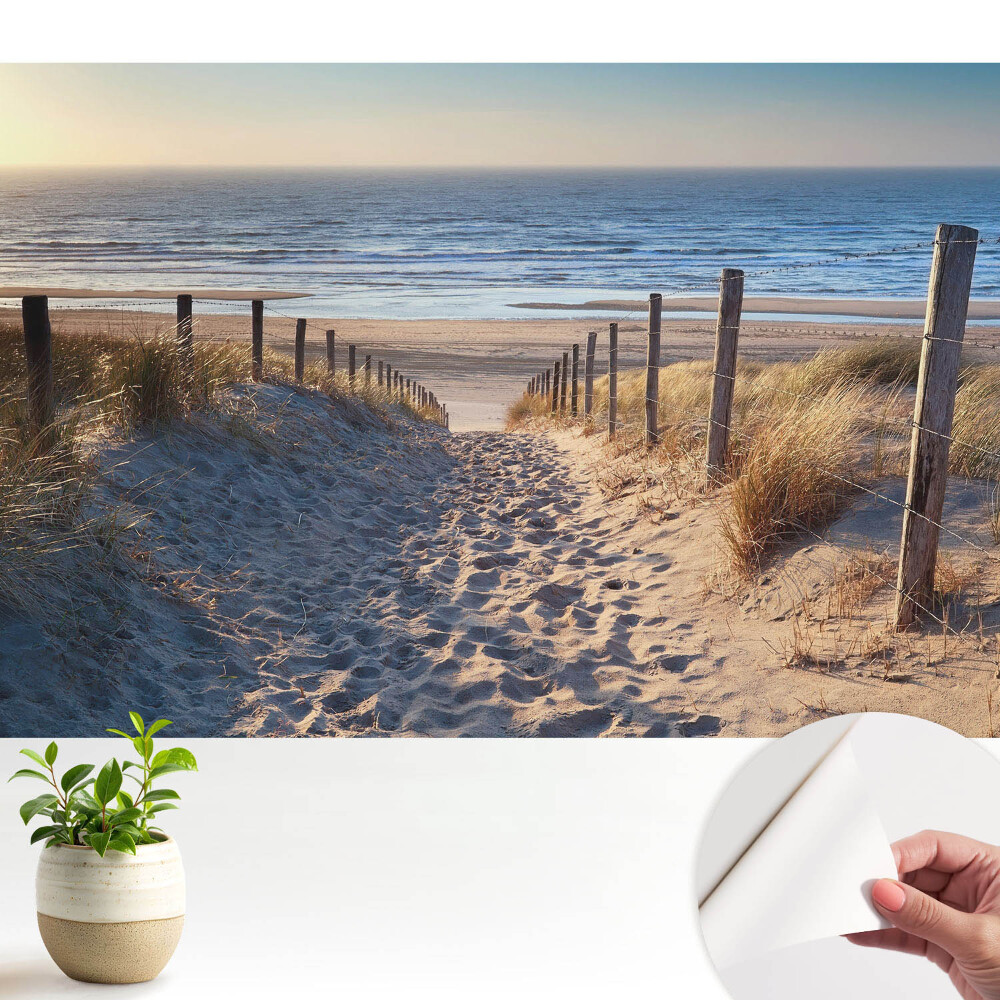 Tapeta Cesta cez duny k moru