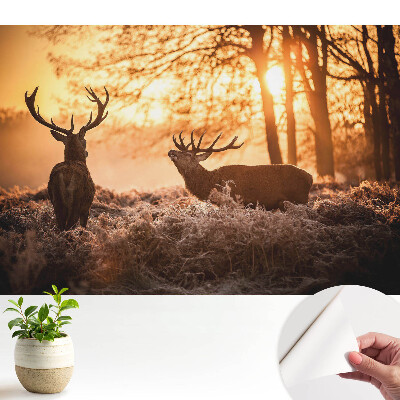 Tapeta do obývačky s motívom jesenného jelena pri východe slnka