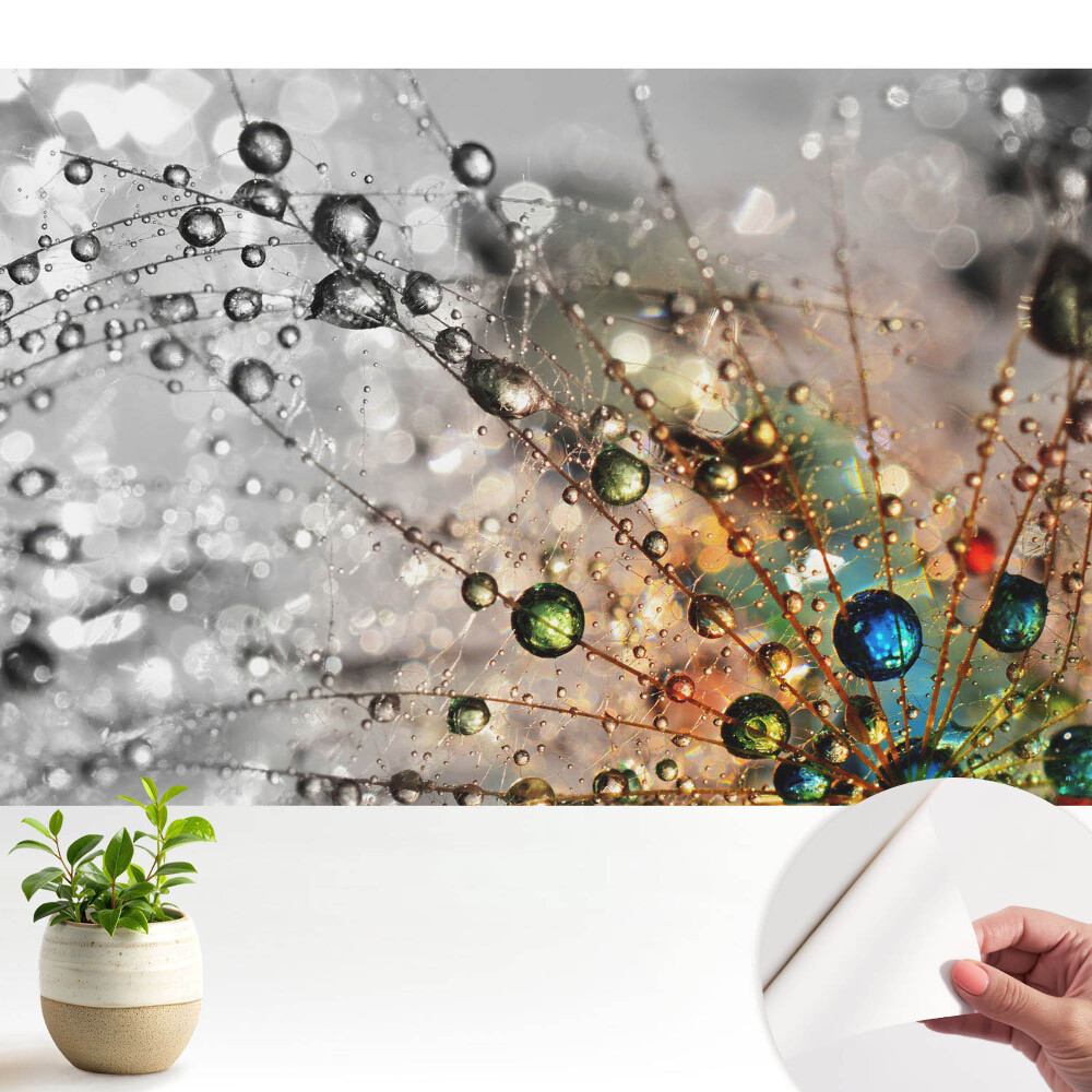 Tapeta do obývačky Farby kvapiek na pavučine