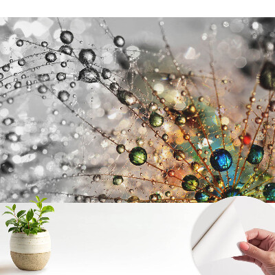 Tapeta do obývačky Farby kvapiek na pavučine