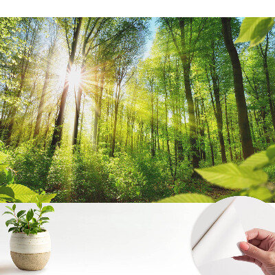 Luxusná tapeta s motívom energie slnečného žiarenia v lesnej krajine