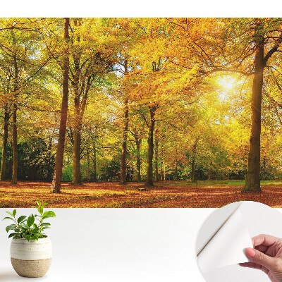 Tapety na stenu samolepiace Jesenná panoráma lesa plného farebných listov