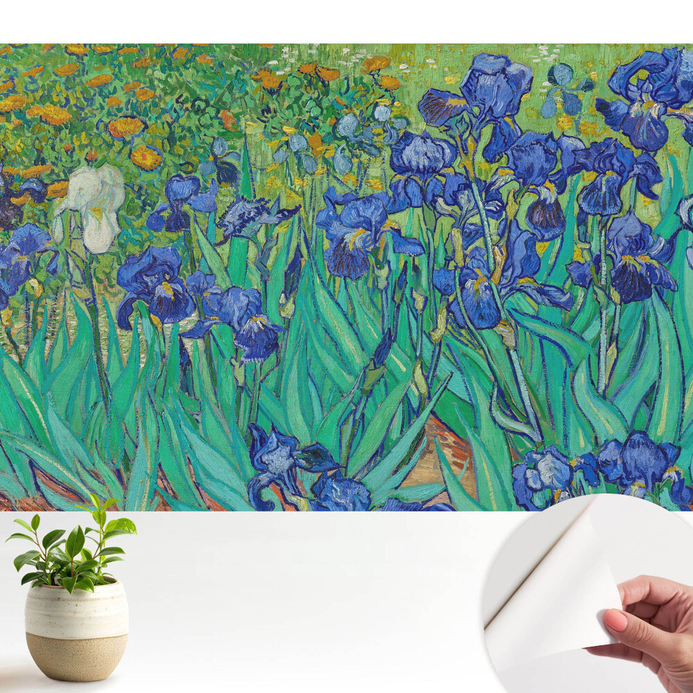 Tapeta Fialové kosatce v zelenej záhrade