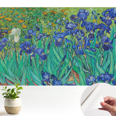 Tapeta s motívom fialových kosatcov v zelenej záhrade