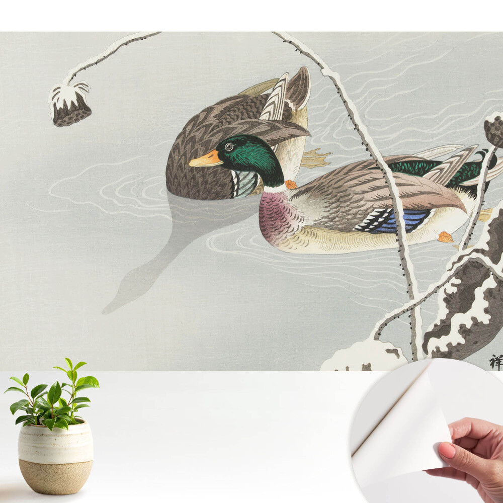 Tapeta do obývačky Dve kačice na vode v klasickom štýle