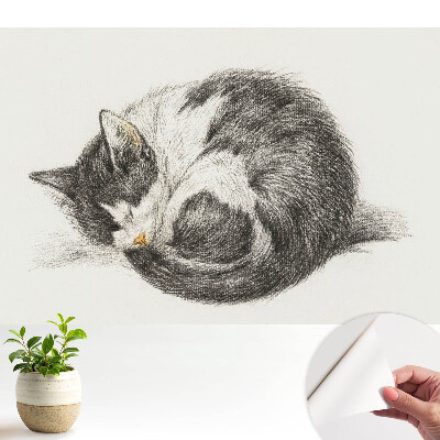 Luxusná tapeta Centrálna ilustrácia spiaceho mačiatka