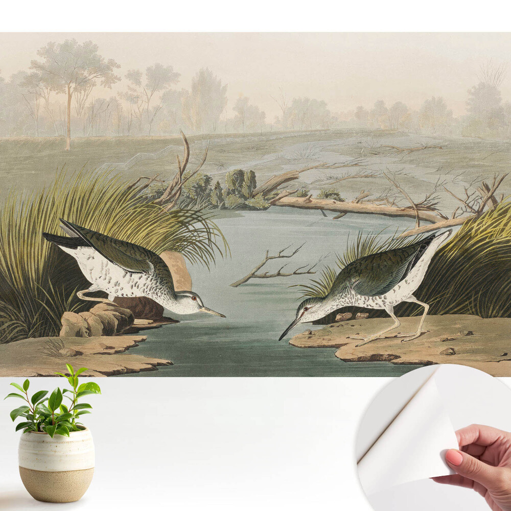 Tapety na stenu samolepiace Vtáky pri jazere, harmónia prírody