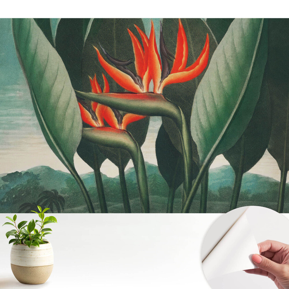 Tapeta Exotické rastliny na zelenom pozadí