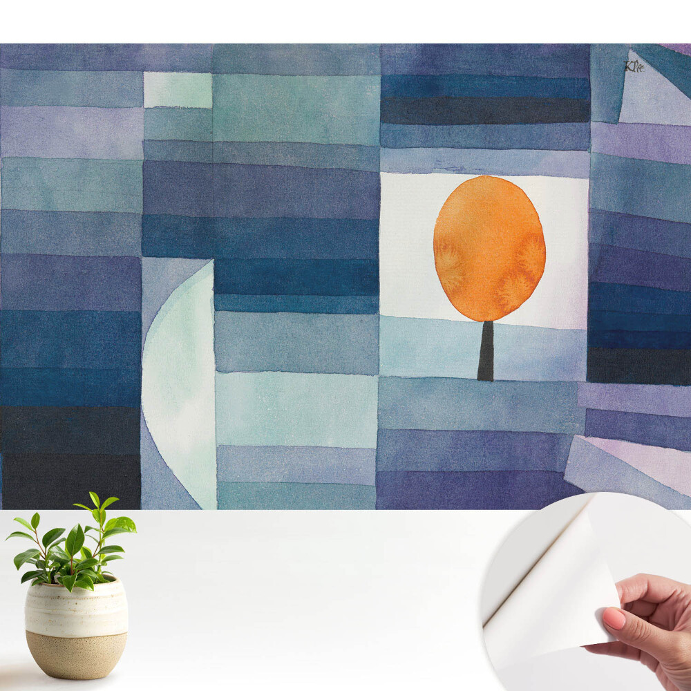 Tapeta Pomarančovník na modrom pozadí