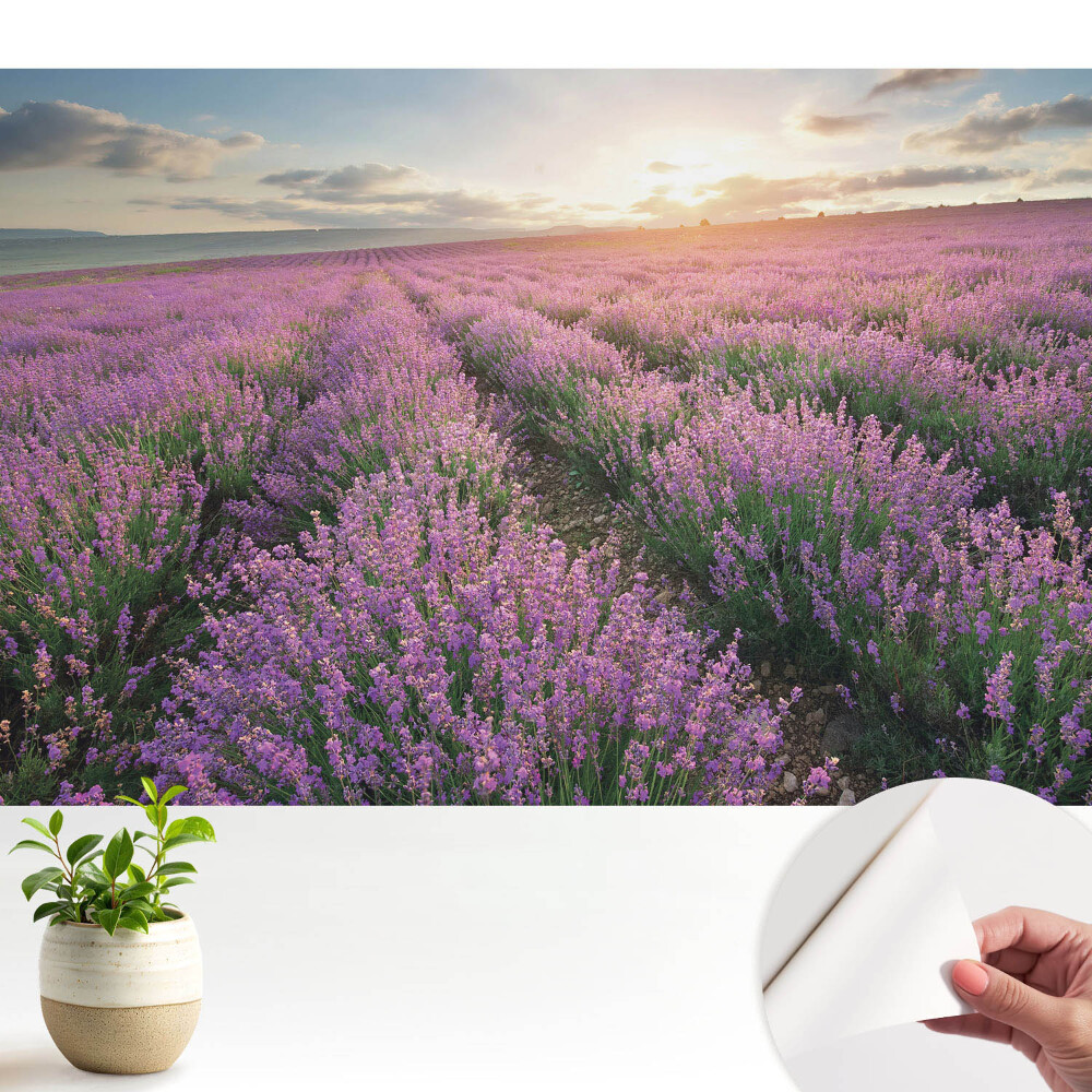 Tapety na stenu samolepiace Fialový levanduľový západ slnka
