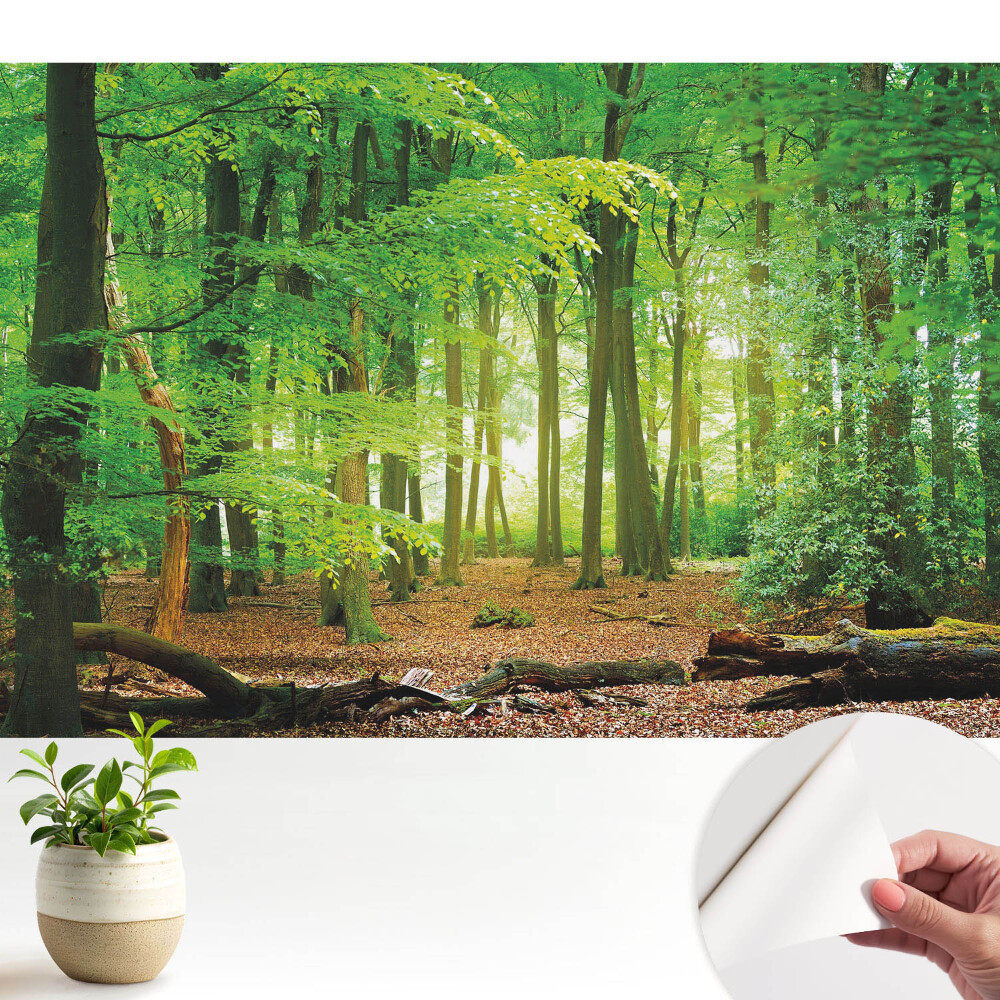 Tapeta Lesná krajina so slnečnými lúčmi