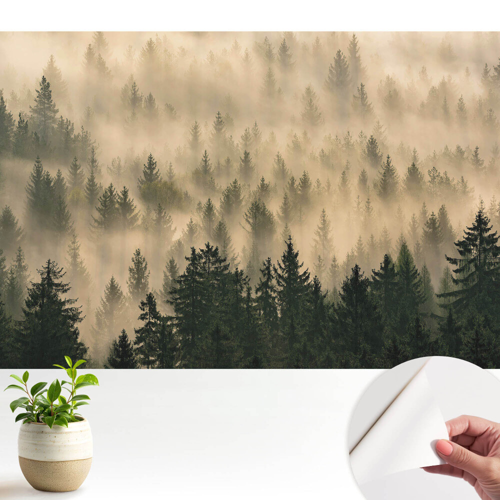 Tapety na stenu samolepiace Les v rannej hmle