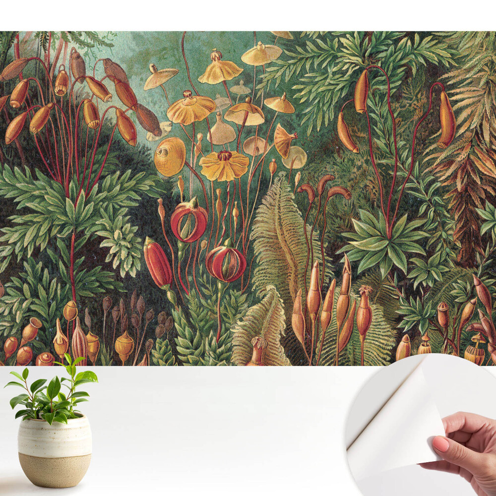 Luxusná tapeta Exotická vegetácia v harmonickej kompozícii
