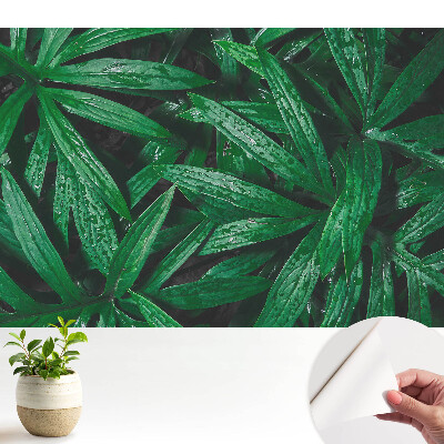 Tapeta na stenu samolepiaca s detailom listov