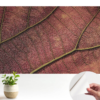 Tapeta Štruktúra listu je plná detailov a farieb