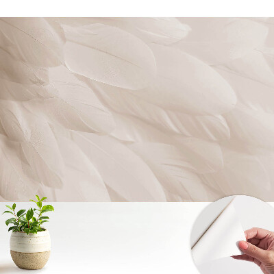 Samolepiace tapety s jemným motívom pierok v harmonickom prevedení